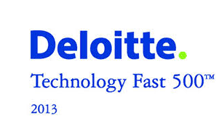  Deloitte Technology Fast 500